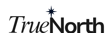 True North AI Consulting Agency